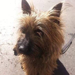 Meet your Posher, Missy